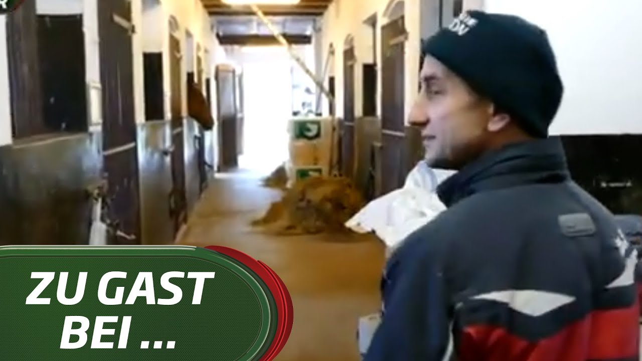 Zu Gast bei Trainer Roland Dzubasz in Hoppegarten