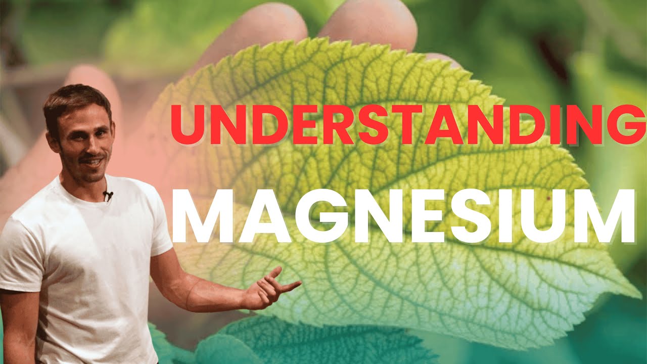 Magnesium's Role in Crop Production