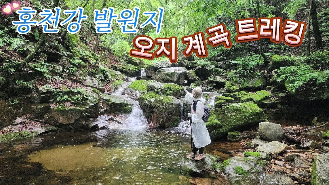 신비로운 홍천강 발원지 찾아떠나는 미약골 오지계곡 트레킹(6/26)/하뱃재/미약골주차장코스 여름 휴가지로 추천