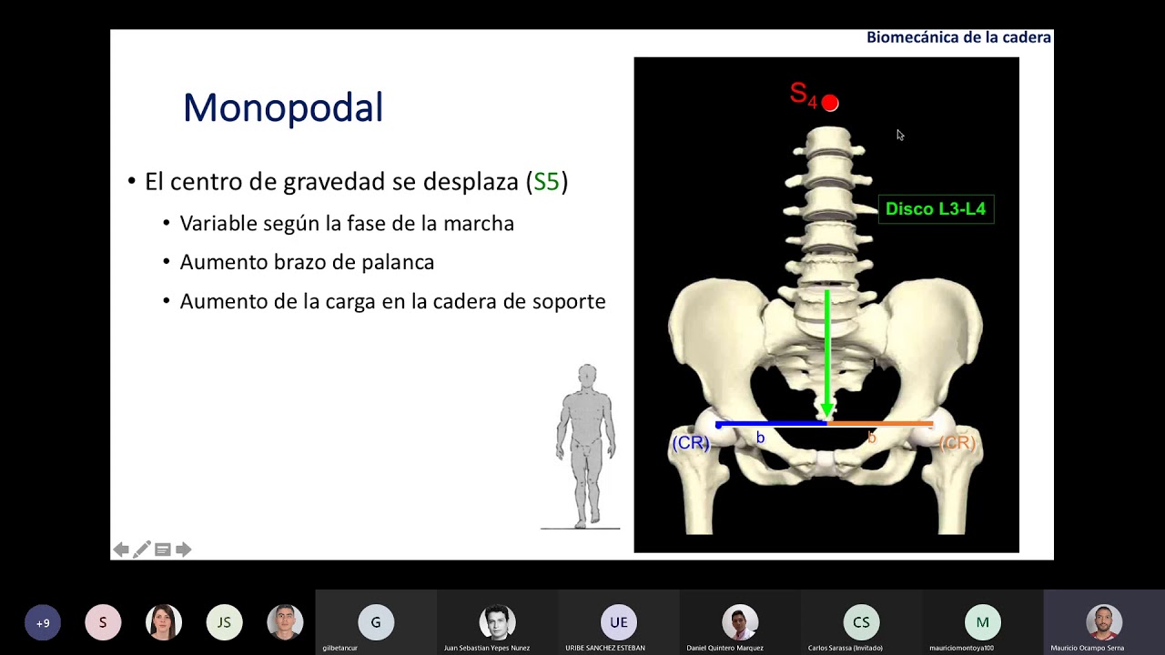 Biomecánica de la Cadera