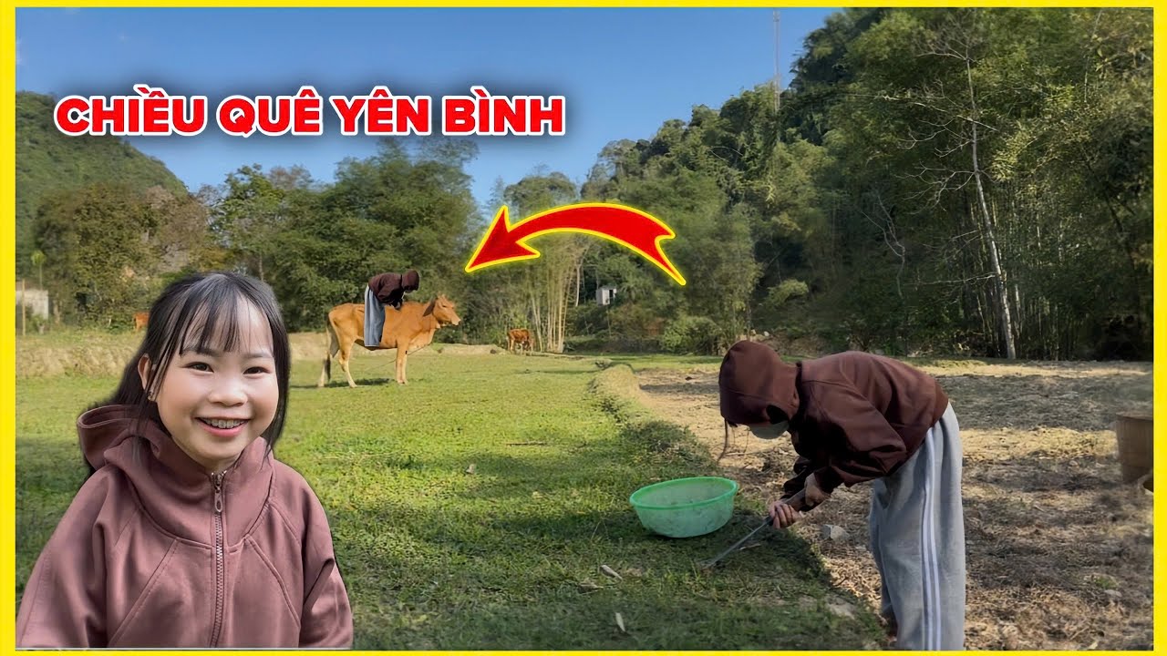 Buổi Chiều Yên Bình, Đi Hái Rau Nhà Ngoại Và Trồng Khoai Mì | Bé Hạt Tiêu