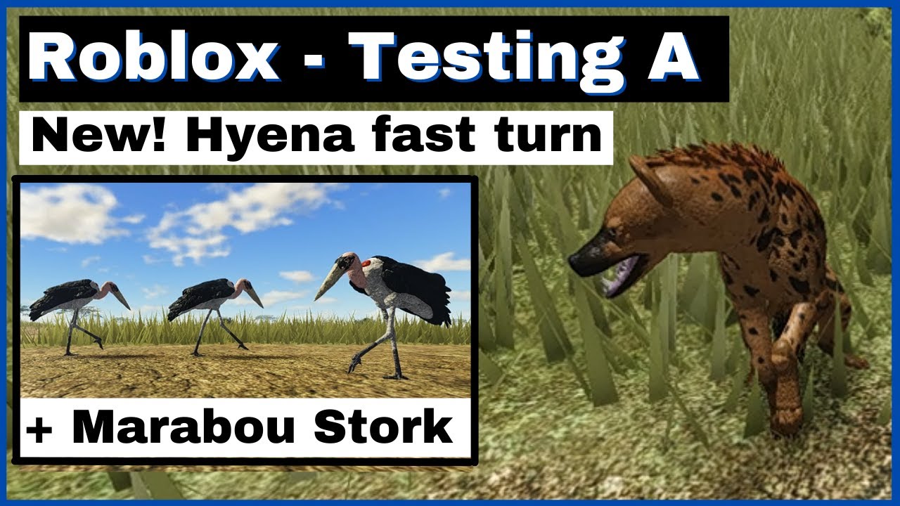 Roblox - Testing A Update - Hyena fast turn - New Marabou Stork feature!