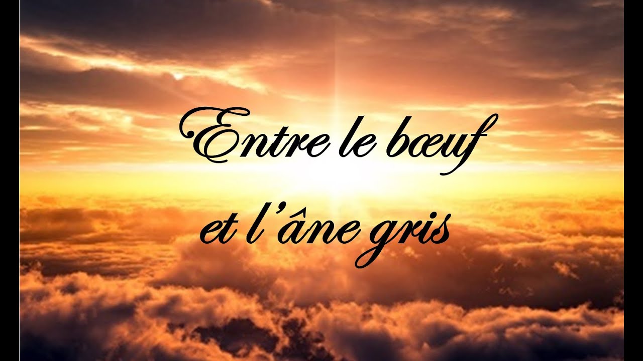 Entre le bœuf et l’âne gris