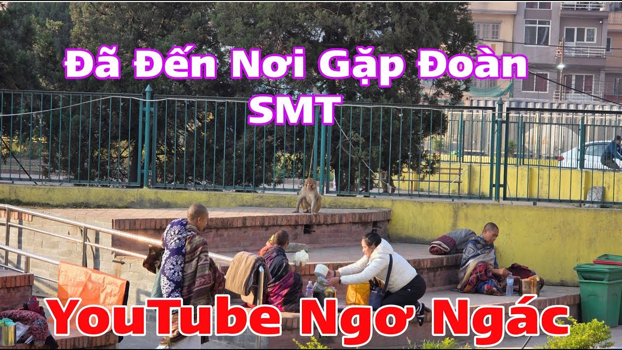 Xuất hiện nhiều người lạ mặt bên trong đoàn ông sư Minh Tuệ tại chùa khỉ ￼