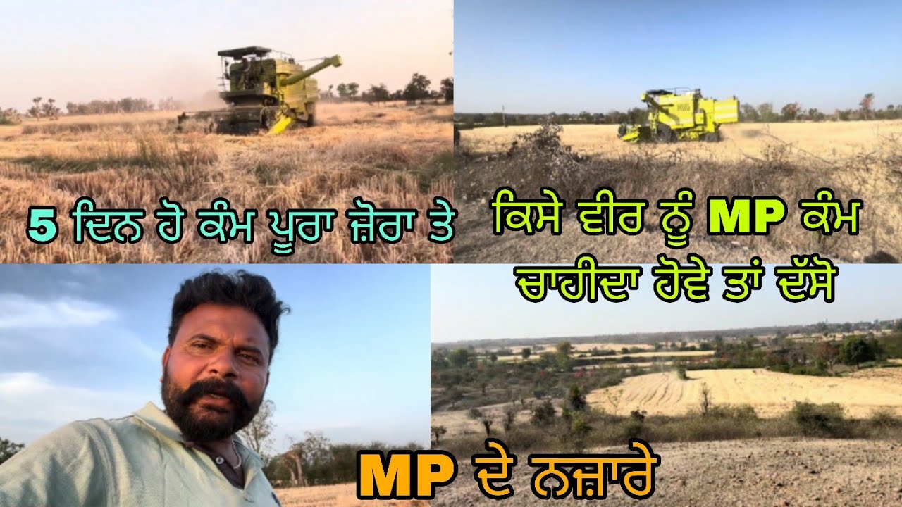 MP ਇੱਕ ਹੋਰ ਕੰਬਾਈਨ ਦੀ ਲੋੜ // @bittugobindgarh2295