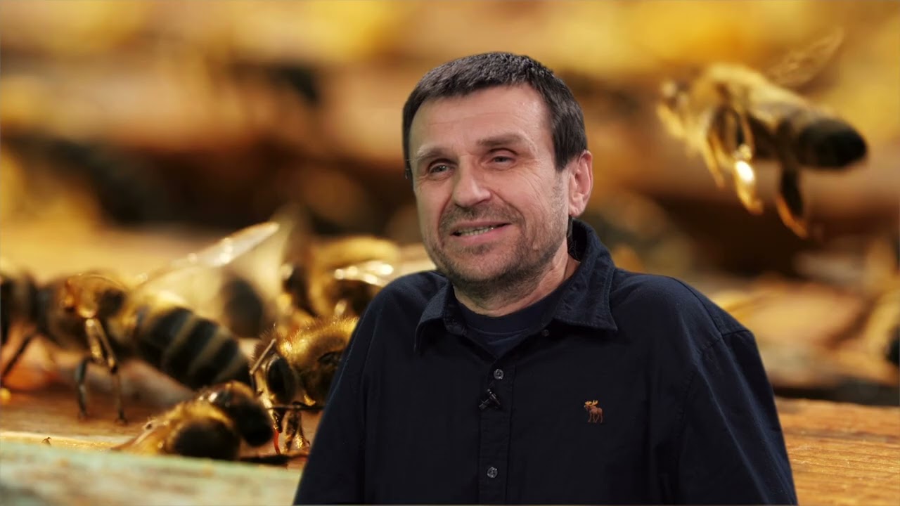 Tajemnice pszczelej rodziny-prof. dr hab. Adam Tofilski/Jacek Bańka Radio Kraków