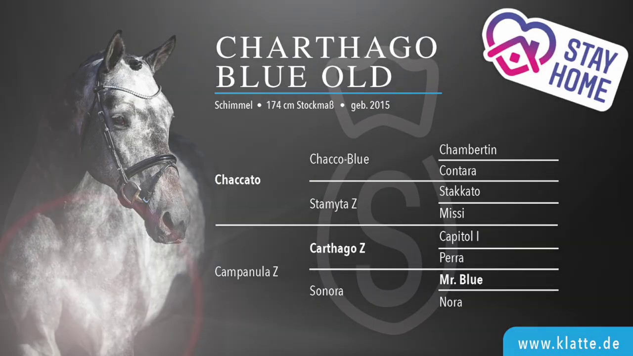 Charthago Blue OLD v. Chaccato x Carthago Z x Mr. Blue (#stayhome) www.klatte.de