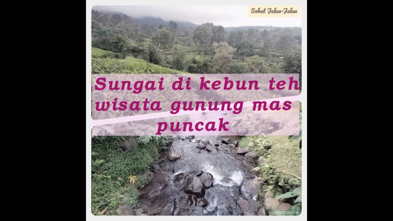 Sungai di Kebun Teh Agro Wisata Gunung Mas Puncak