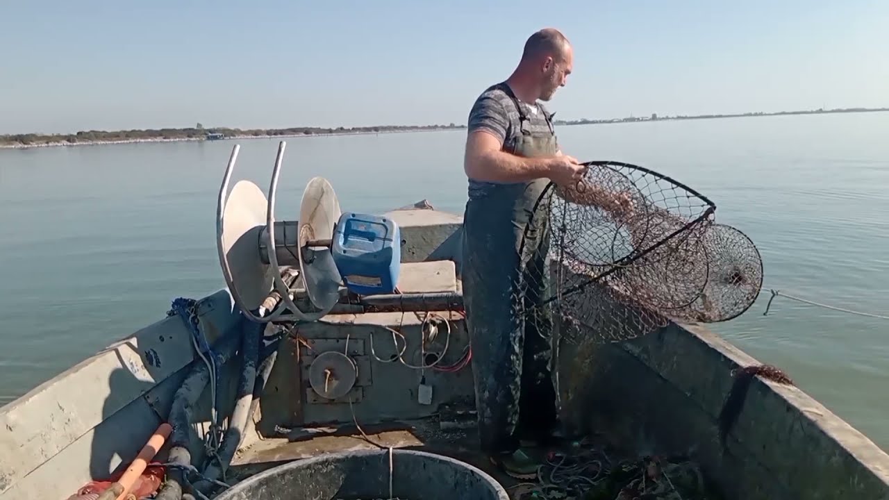 Pesca con le reti granchio blu. meglio le nasse o le reti?