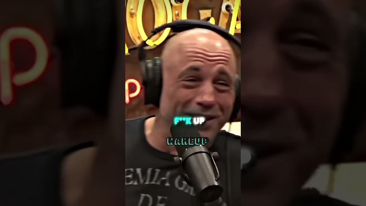 Even cats hates pronouns #funny  #joerogan #comedy