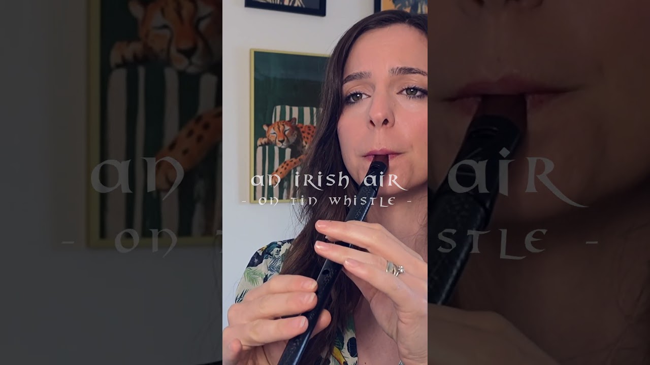An Easy Irish Tune for Tin Whistle - Mo Ghile Mear