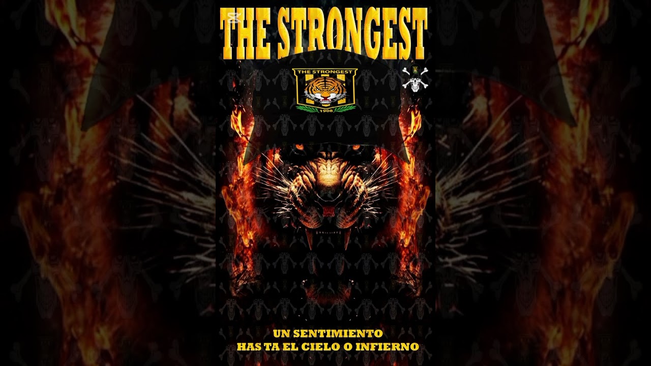 Viajeros sin solución - stronguistas llajta 