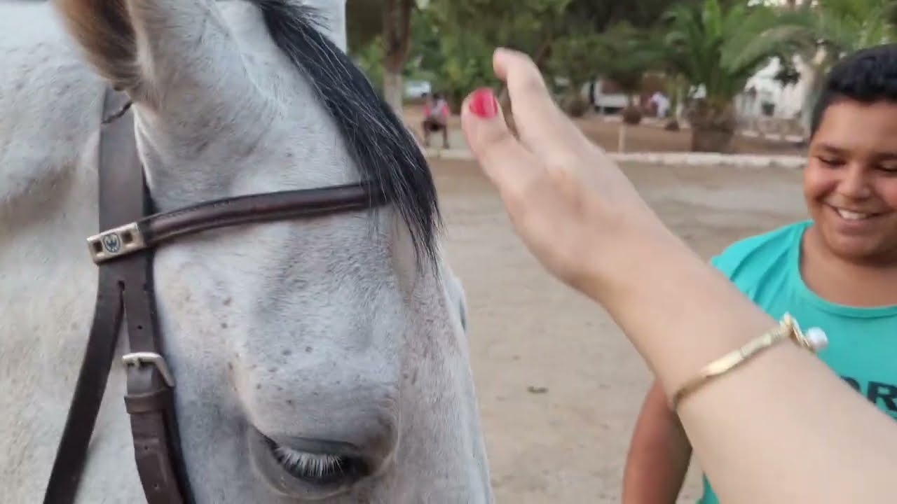 دورة شابة في مركب الأحصنة و الفروسية بوهران🤩🐎🐴