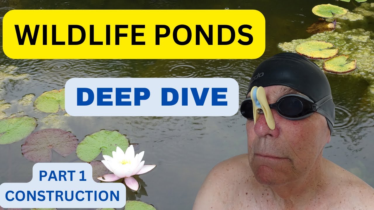 WILDLIFE PONDS 1 - CONSTRUCTION