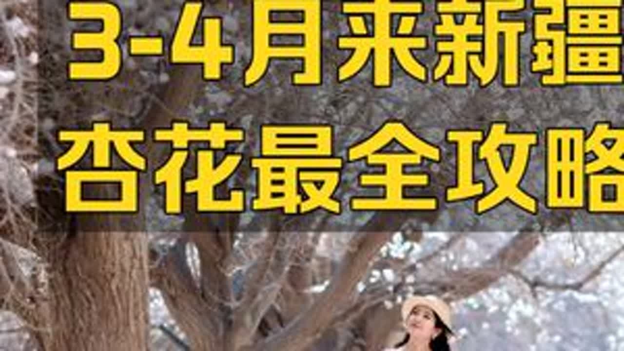 3-4月来新疆看杏花，查攻略看这一条就够了！ #新疆 #春天就要出去野