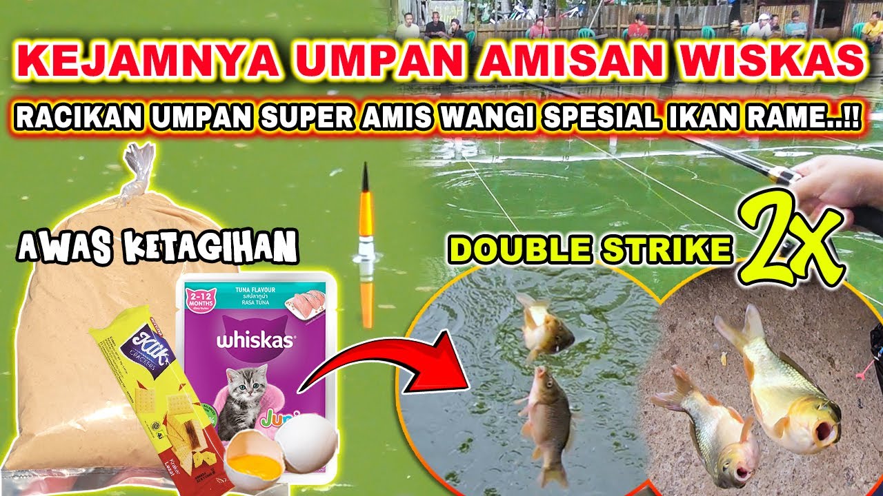 SADISNYA AMISAN WISKAS UNTUK UMPAN !! DOUBLE STRIKE 2KALI PAKAI RACIKAN UMPAN IKAN MAS INI ❗❗
