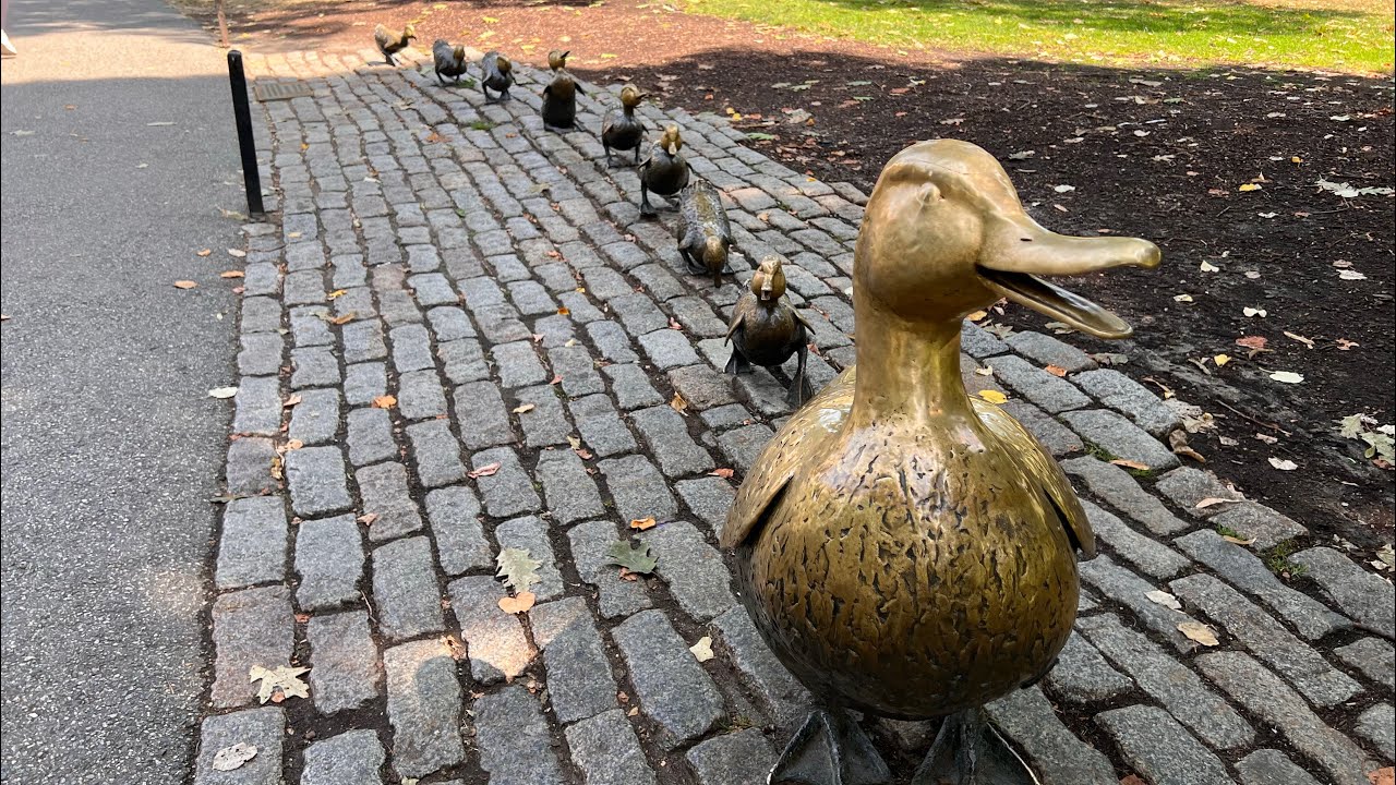 Boston Public Garden on a beautiful fall day