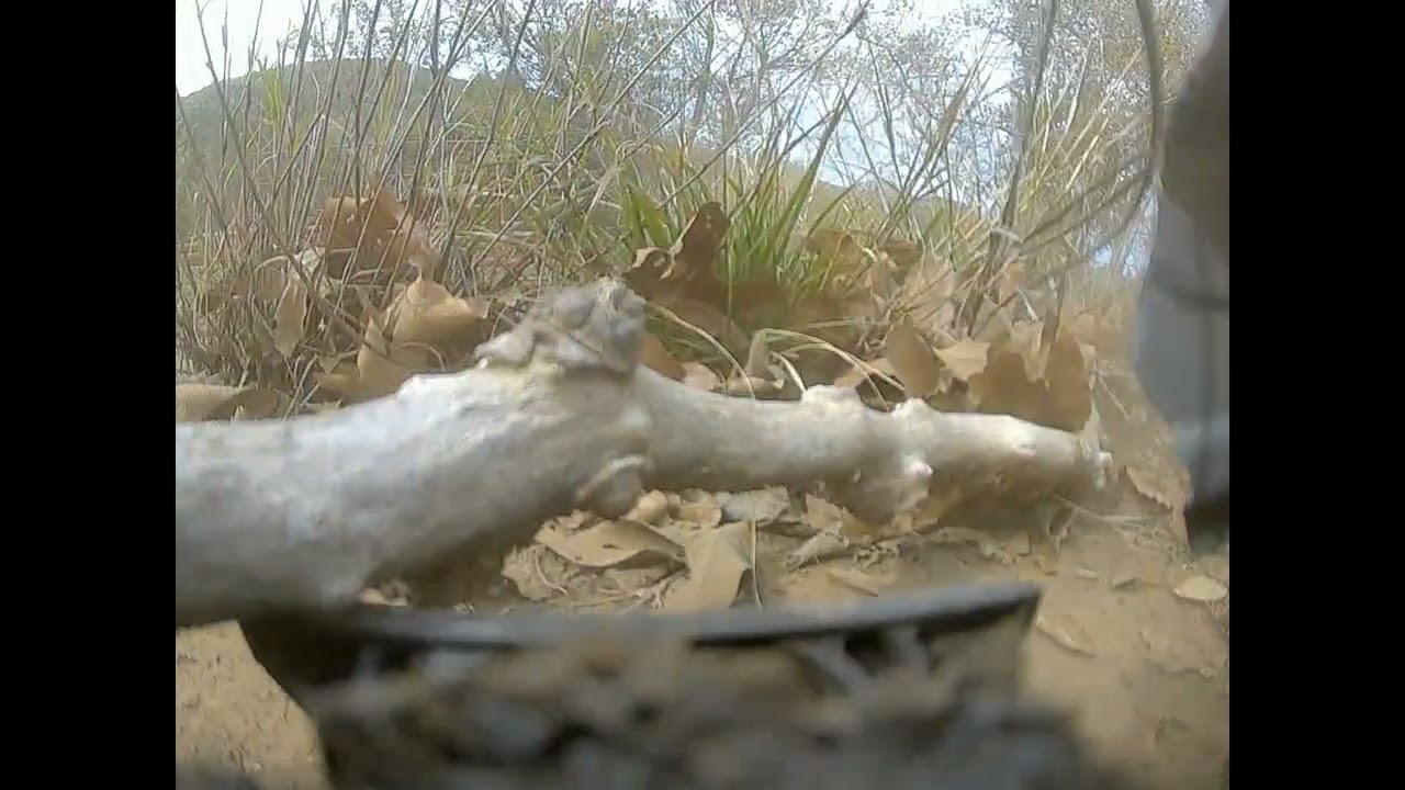 ARRMA VORTEKS 2X4 DJI FPV @ KAMP KRUSTY WITH SOUND