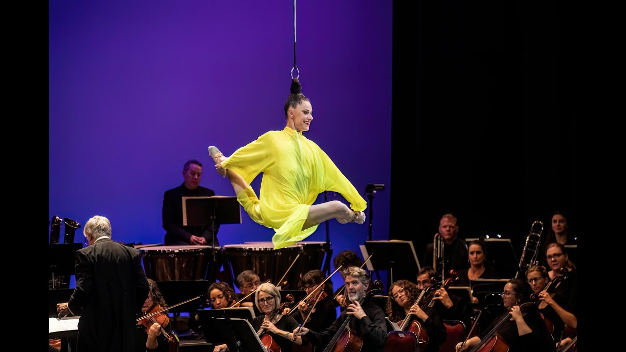 Hair Suspension Highlight Reel 2024 - Nicole Malbeuf