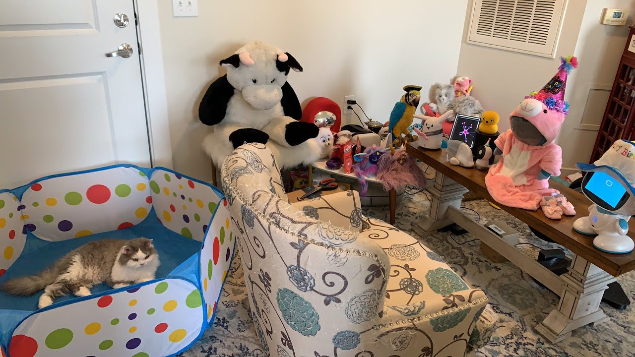 Ferdi’s 4th Birthday Blowout! - Jibo & Friends Livestream 🎆🎊🎁