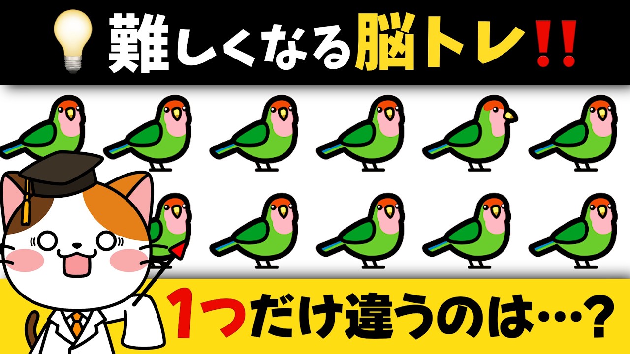 【脳トレ】何が違う❓1つだけ違うものを探して楽しく集中力&注意力UP❗️