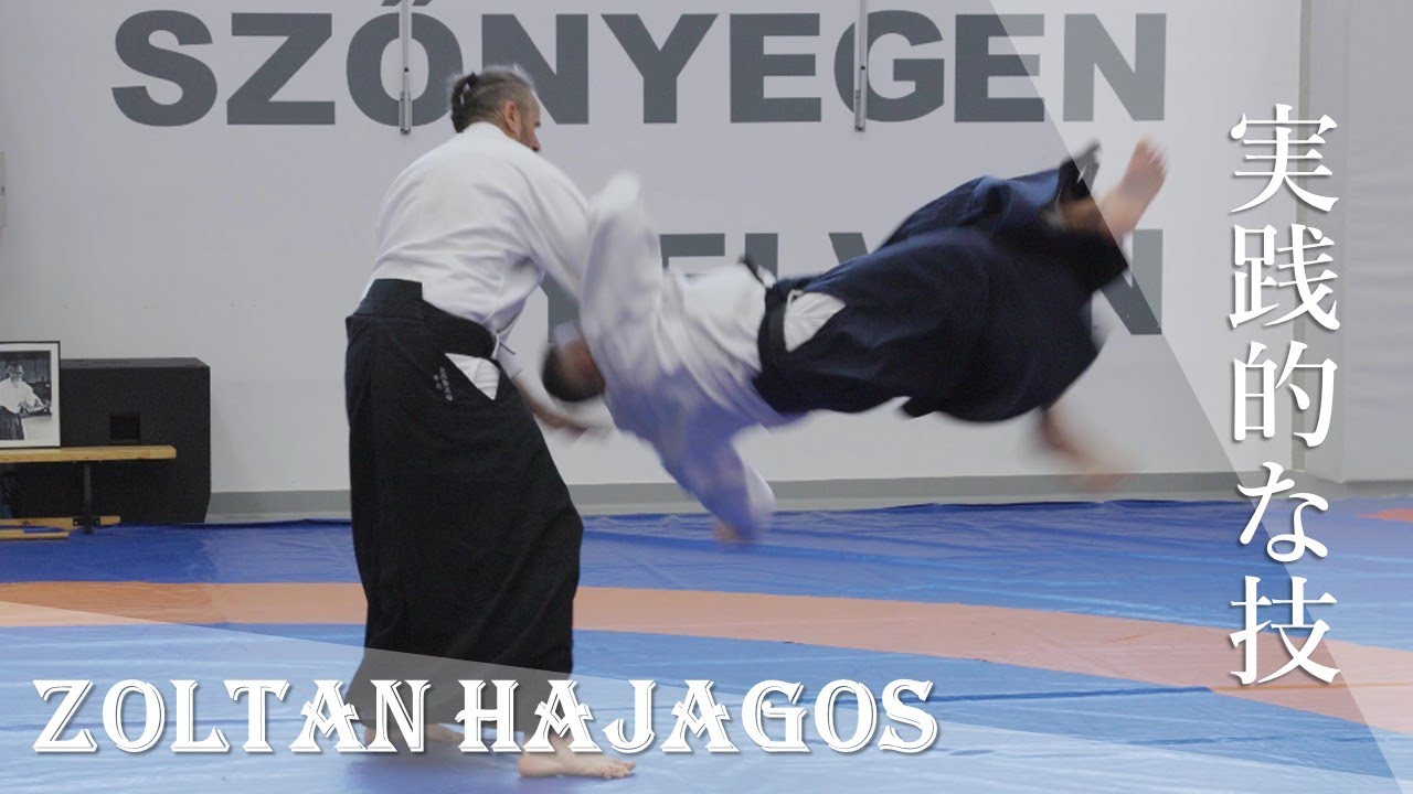 Zoltan HAJAGOS at Beautiful Aikido Festival 2025