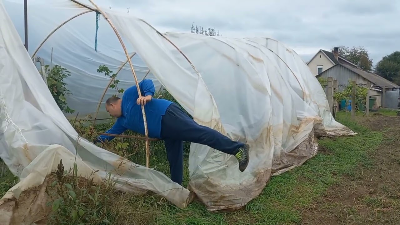Zotyukert 46. - Lebontjuk a fóliát
