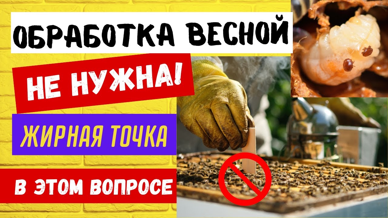 Обработка весной НЕ нужна! Результаты моих наблюдений.