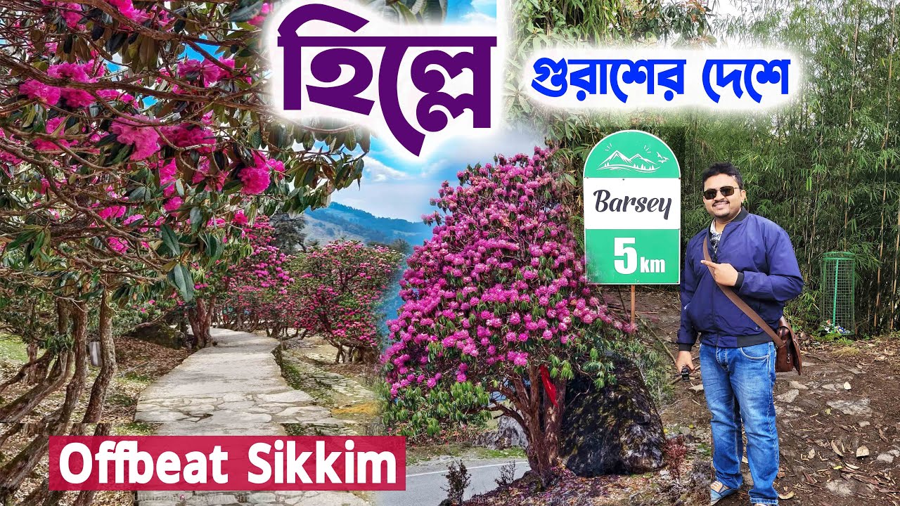 সিকিমের লুকানো স্বর্গ! / Barsey Rhododendron Sanctuary Vlog | #sikkim 