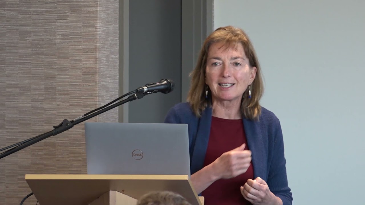 Rezare Farm Systems Workshop: Linda Lilburne (Manaaki Whenua Landcare Research)