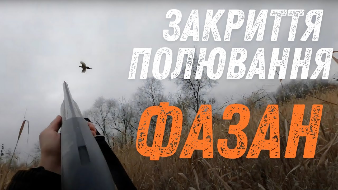 Краще полювання на фазана - 2020 ! Підняли близько 50 фазанів !!! Круте закриття полювання в Україні