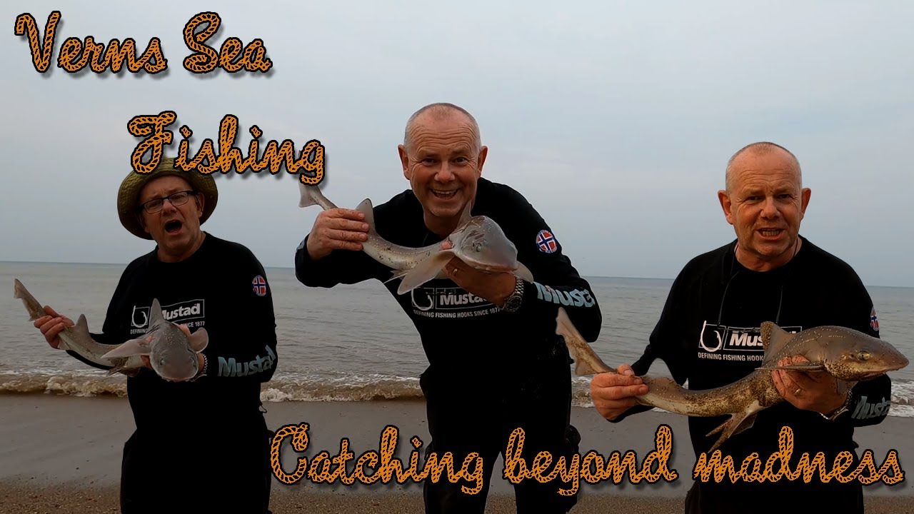 VERNS SEA FISHING | CATCHING BEYOND MADNESS SMOOTH HOUNDS ON THE LINCOLNSHIRE CIAST UK