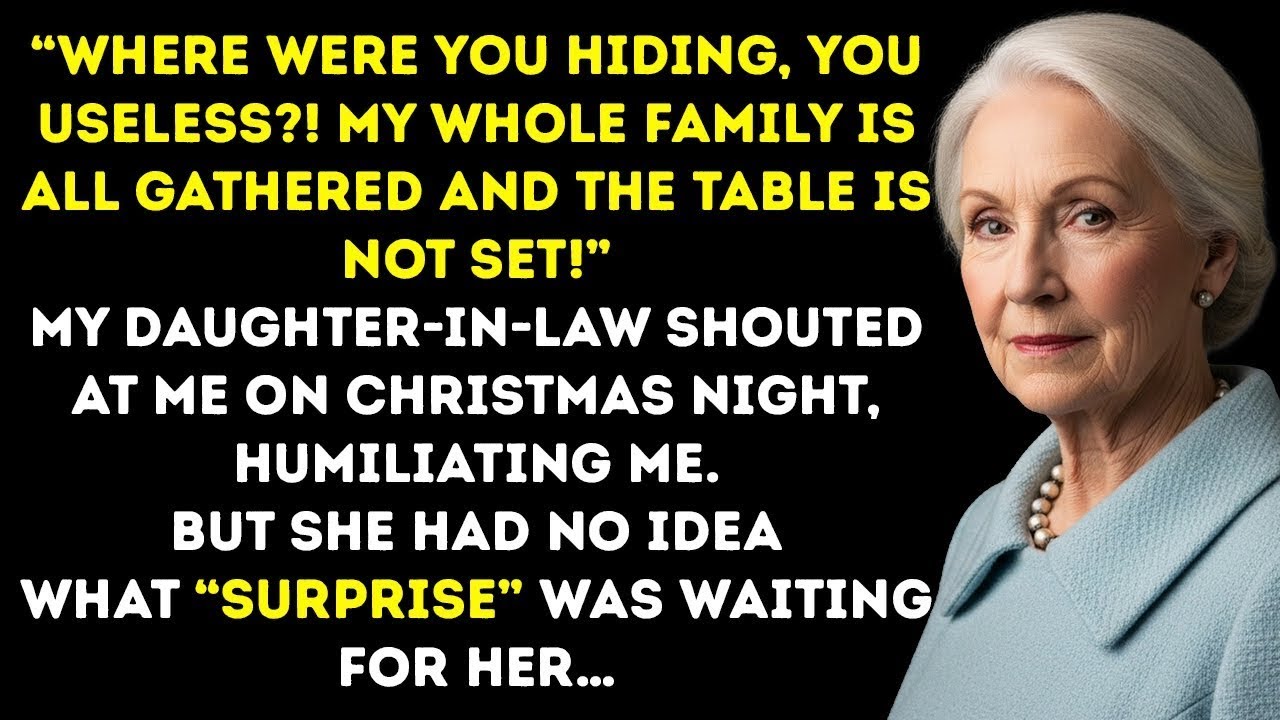 Where Were You! My Family's Here And Dinner Isn't Ready! My Daughter In Law Screamed On Christmas