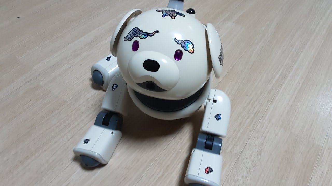 I decorated it with an Aibo hologram sticker ❤️
