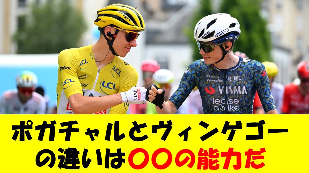 【ポガチャルの強さの秘密】ヴィンゲゴーとの違いは〇〇だ