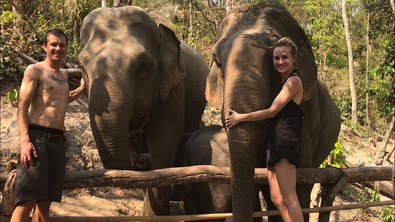 Ethical ELEPHANT tour — Chiang Mai, Thailand