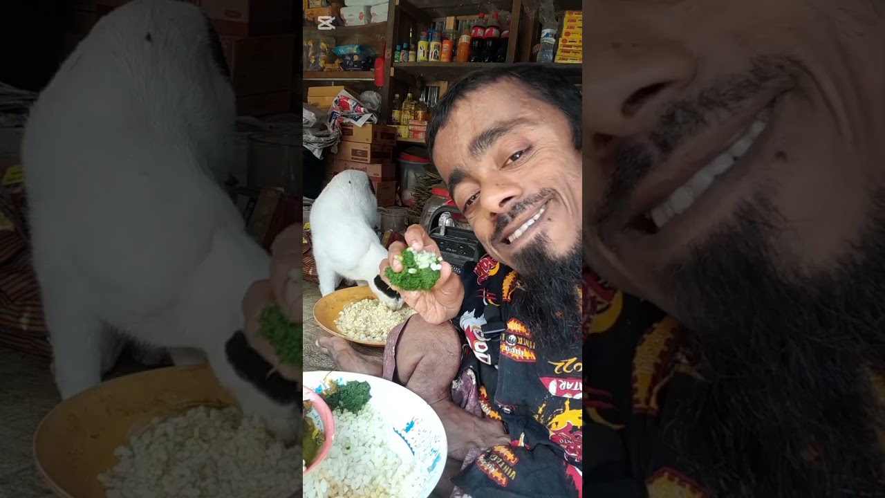 আমার মিনি ভাত খাচ্ছে মাছ দিয়ে দেখুন ভিডিওতে লাইক কমেন্ট শেয়ার করেছেন সাবস্ক্রাইব করুন 