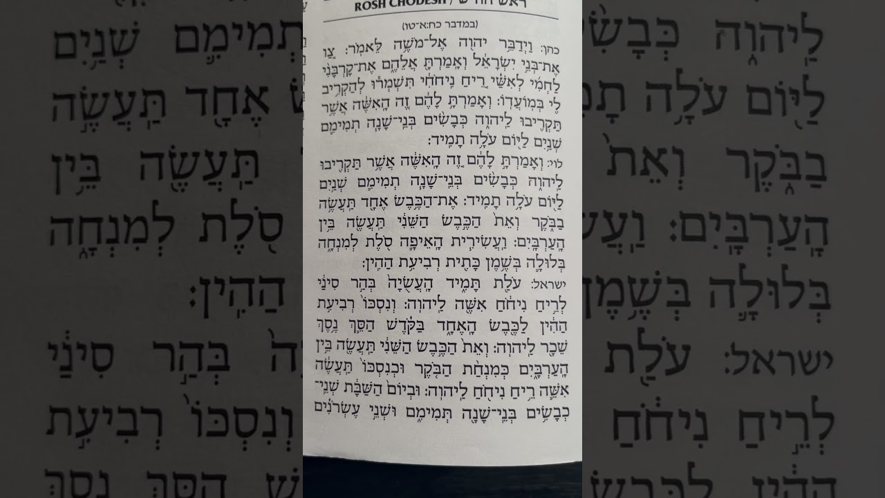 ROSH CHODESH  1st Aliya 2024  Ashkenaz Nusach   Nachum Ben-Yosef  Using:Artscroll