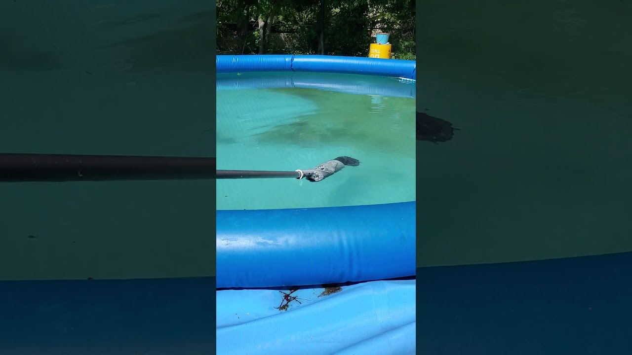 Intex handheld pool vacuum model CL1704