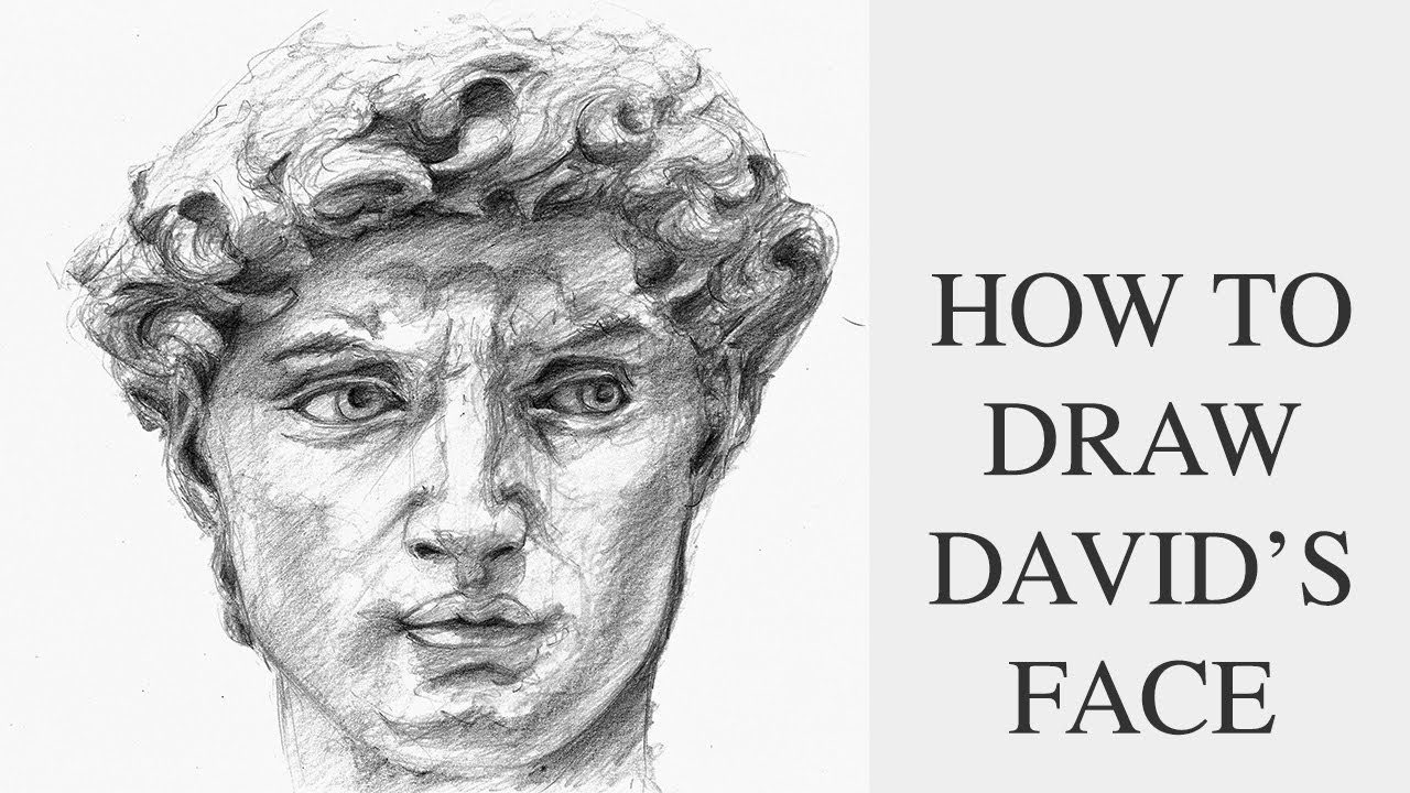 Drawing Michelangelo's David Face Portrait step by step guide for beginners