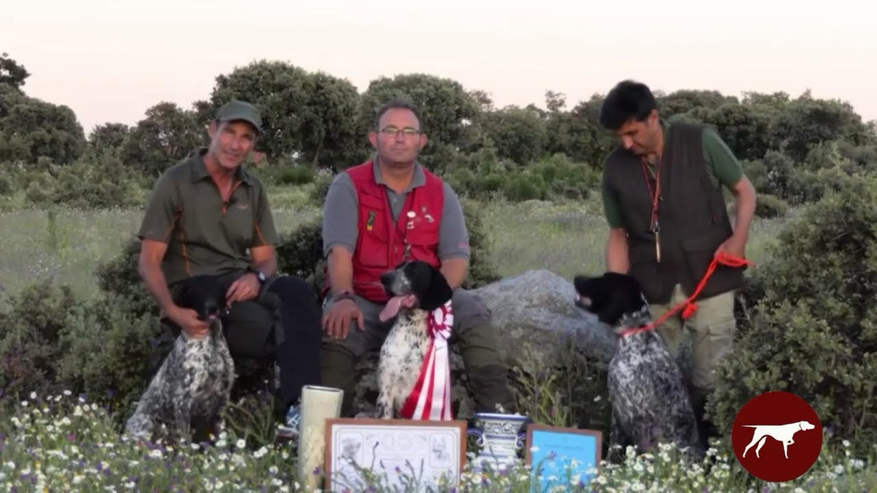 PERROS EXTRELLA 