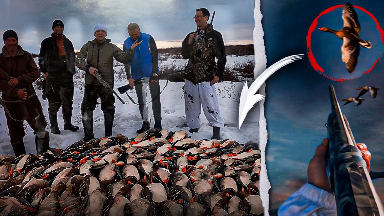 ТУНДРА. ГУСИ падают ПАЧКАМИ! ЛУЧШЕ ОХОТЫ не ВИДЕЛ!