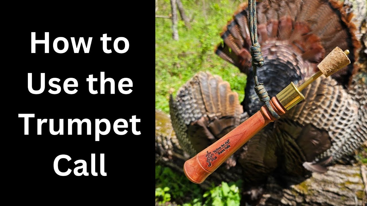 How to Use the Trumpet Call