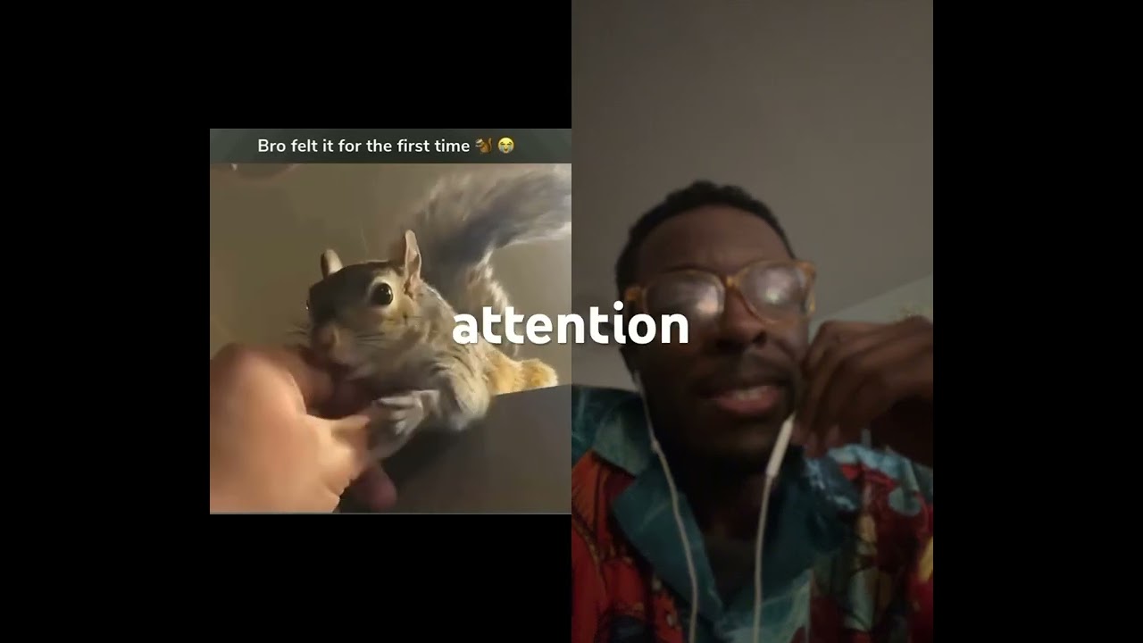 #squirrel