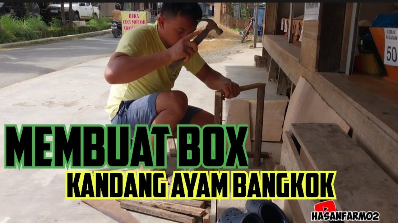 Membuat Kandang Box Ayam Bangkok
