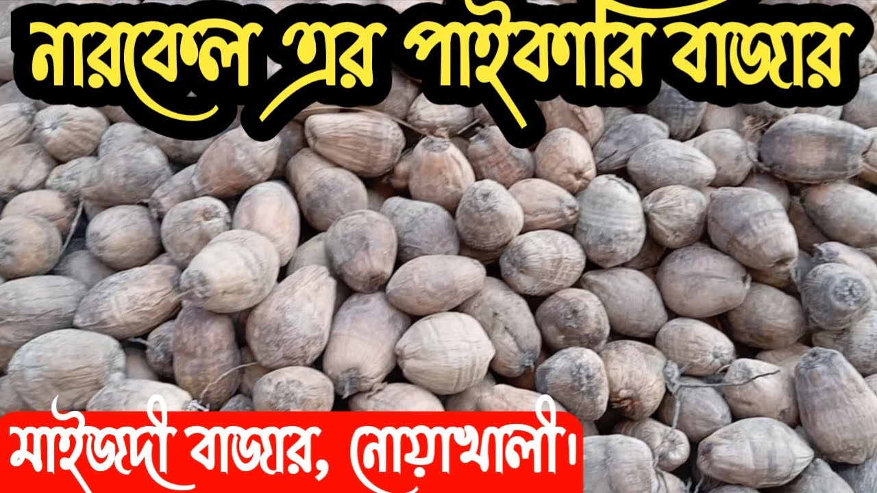 নারকেলের পাইকারি বাজার নোয়াখালী | নারিকেলের আড়ৎ | cocunut wholesale market Noakhali