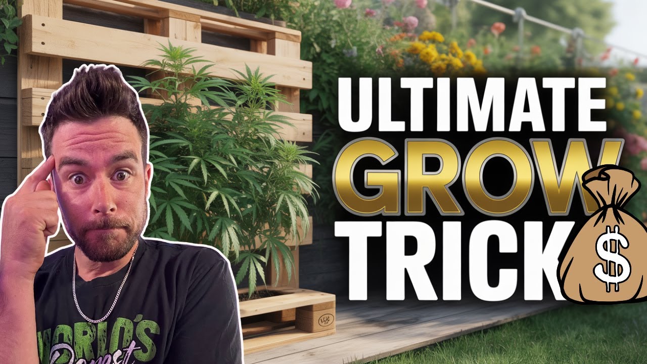 10 Genius Cannabis Garden Hacks That Save Time, Money & Your Sanity