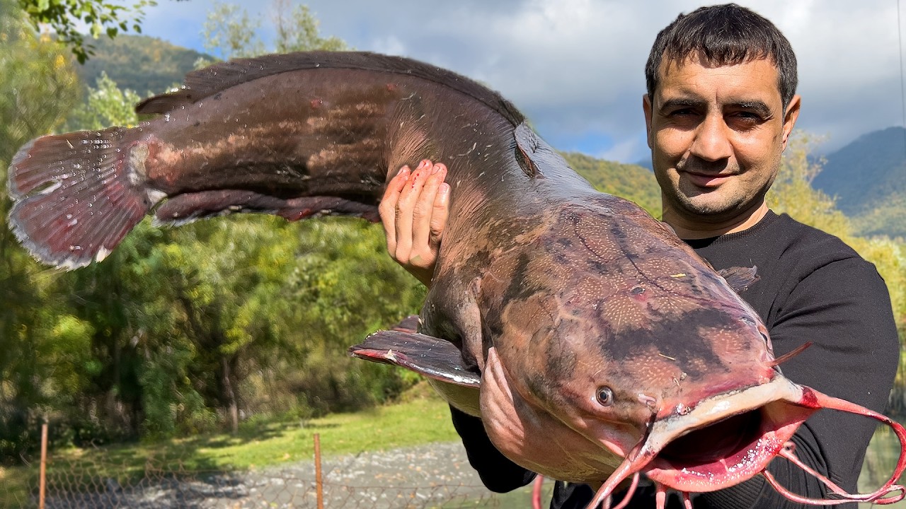 CAMPFIRE COOKING A MONSTER CATFISH! 🔥🐟 Grilling a Huge River Beast over Open Fire
