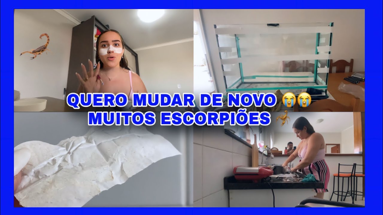 TÁ APARECENDO ESCORPIÃO NA CASA NOVA 😭 QUERO MUDAR DE NOVO | DESABAFO #mudança #viral #vlog  