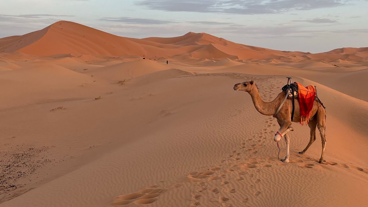 Morocco-Ouarzazate-Merzouga